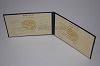Стоимость диплома техникума УзбекАССР 1975-1991 г. в Магнитогорске (Челябинская Область)
