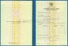 Увеличить Стоимость Свидетельства о Повышении Квалификации 1997-2018 г. в Симе (Челябинская Область)